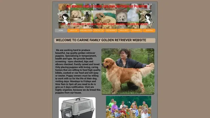 Screenshot of