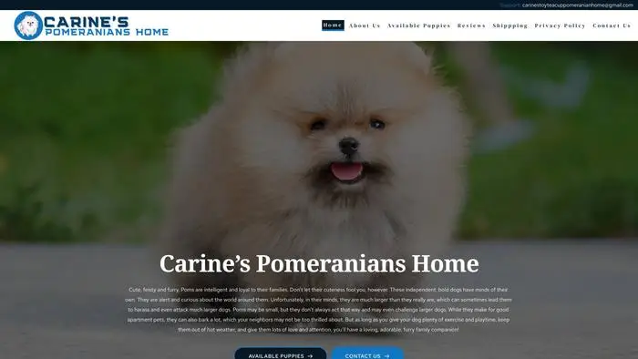 Screenshot of