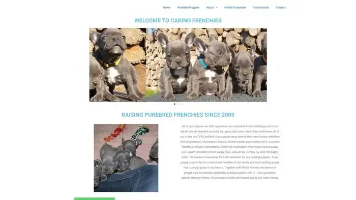 Screenshot of