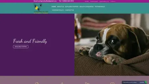 Screenshot of