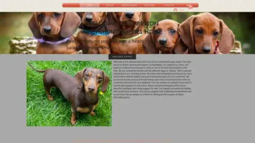 Screenshot of||