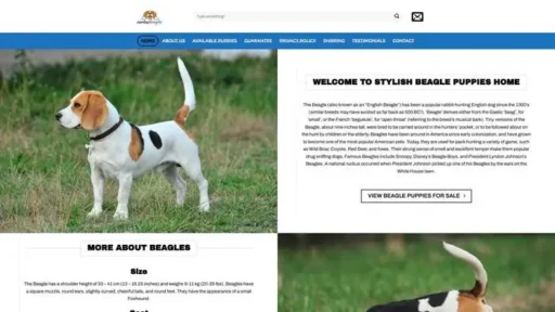 Screenshot of