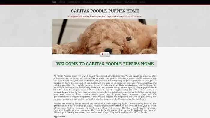 Screenshot of