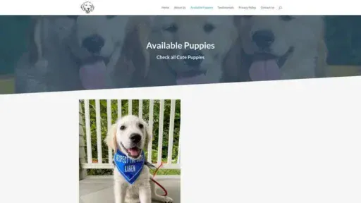 Screenshot of