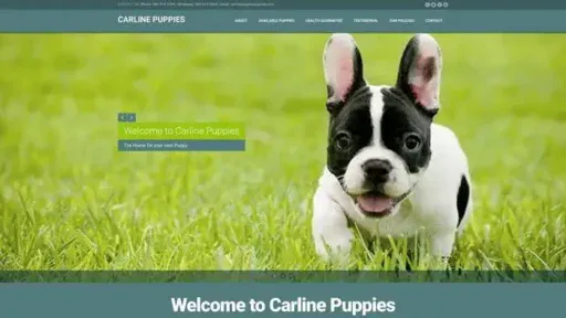 Screenshot of