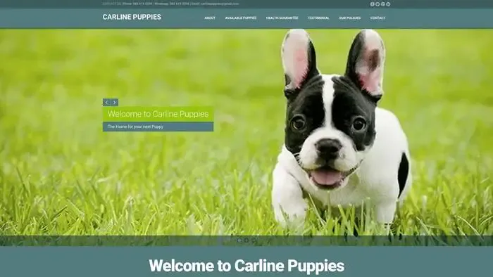Screenshot of