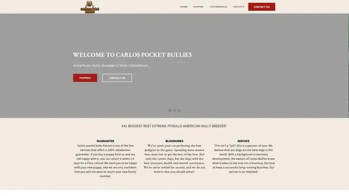 Screenshot of