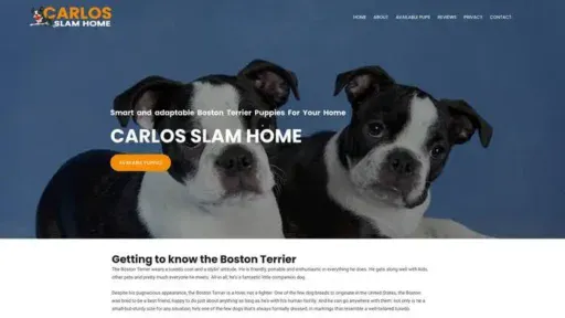 Screenshot of
