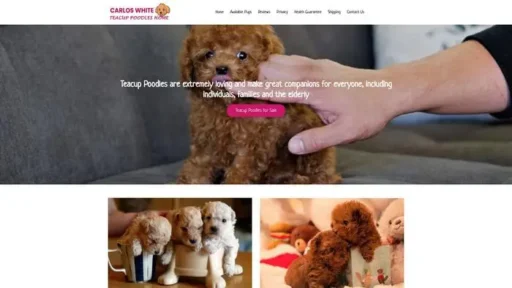 Screenshot of