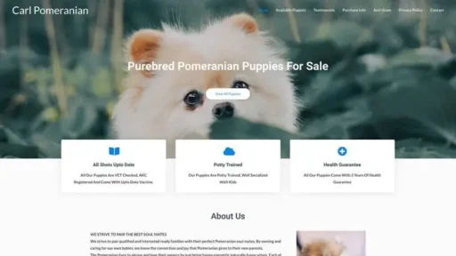 Screenshot of