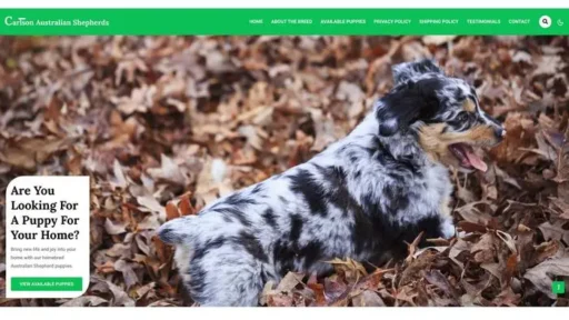 Screenshot of