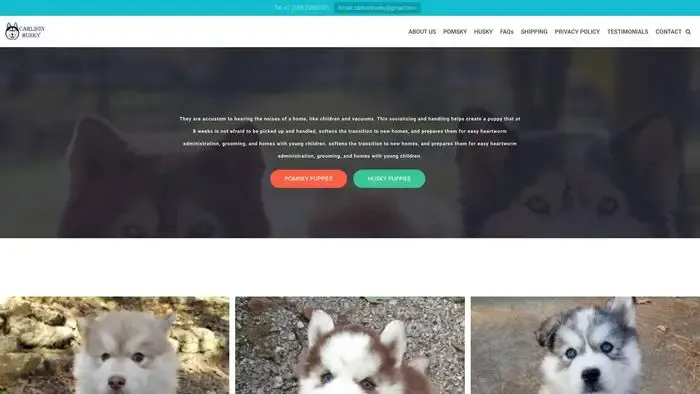 Screenshot of