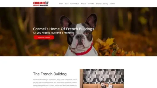 Screenshot of