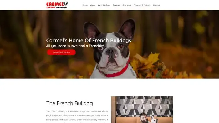 Screenshot of