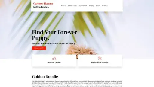 Screenshot of