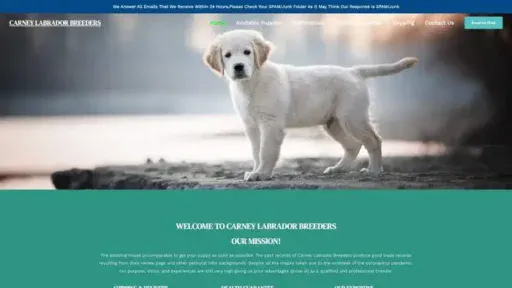 Screenshot of|