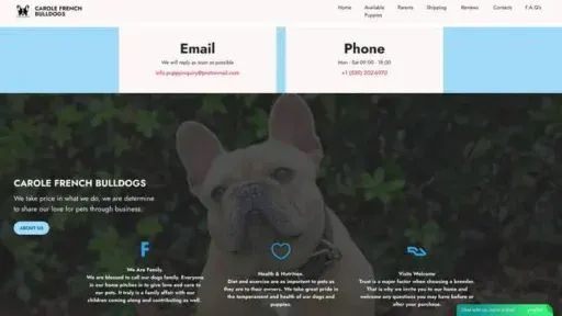 Screenshot of