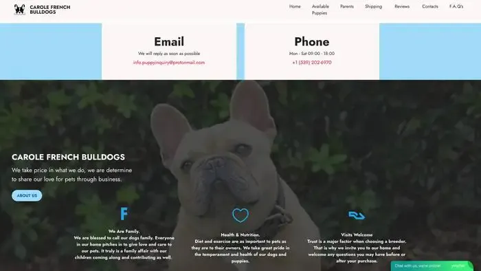 Screenshot of