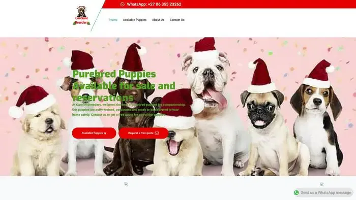 Screenshot of