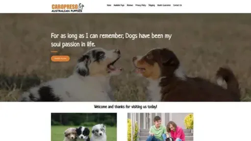 Screenshot of
