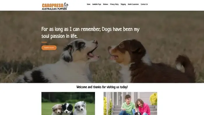 Screenshot of