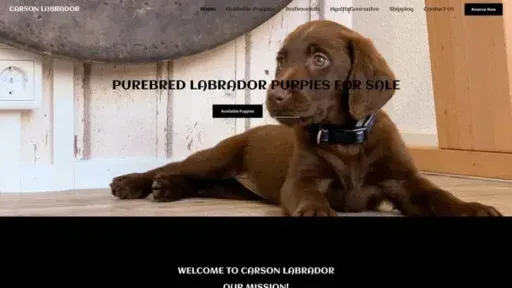 Screenshot of