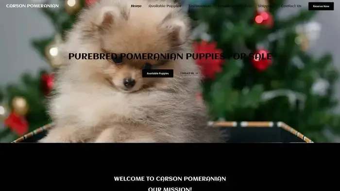 Screenshot of