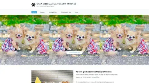 Screenshot of