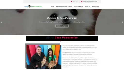 Screenshot of