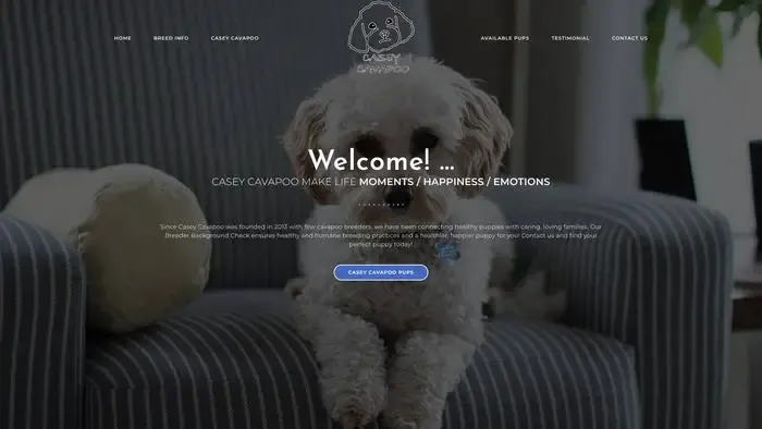 Screenshot of