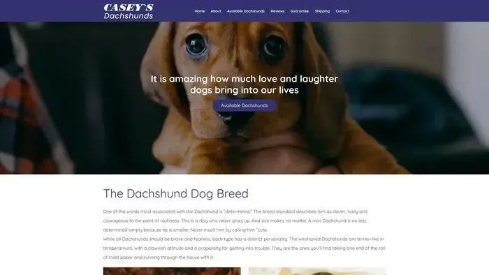 Screenshot of