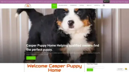 Screenshot of