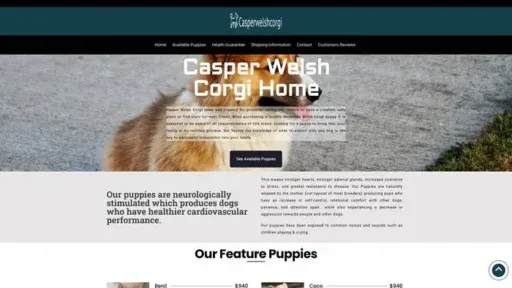 Screenshot of