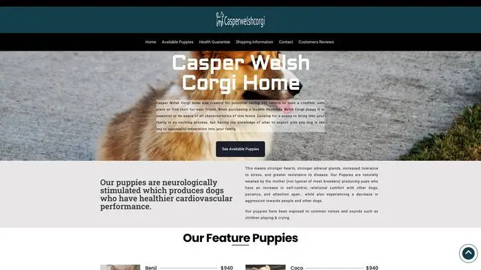 Screenshot of