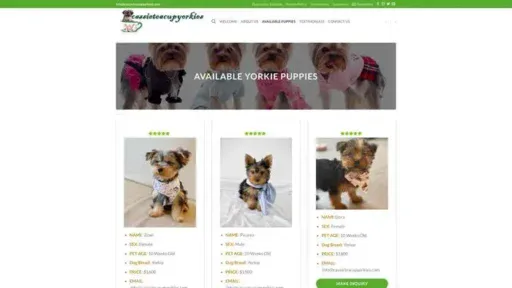 Screenshot of