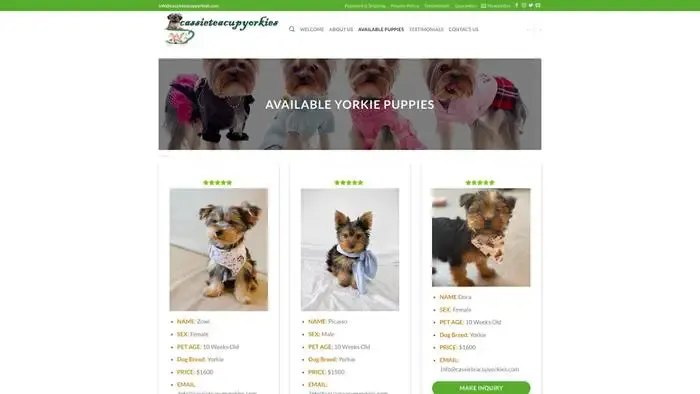 Screenshot of