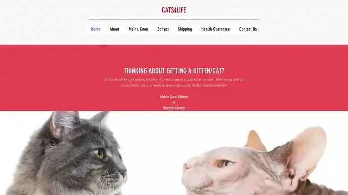 Screenshot of