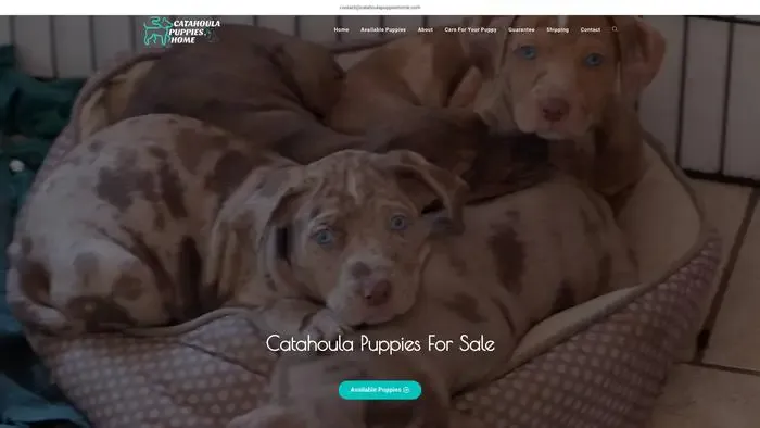 Screenshot of