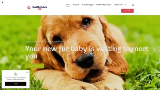Screenshot of||