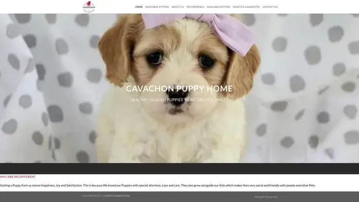 Screenshot of
