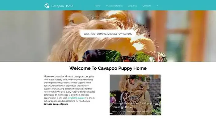 Screenshot of