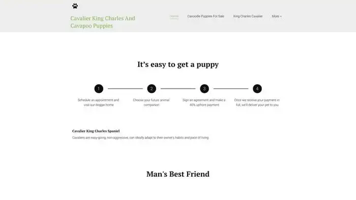 Screenshot of