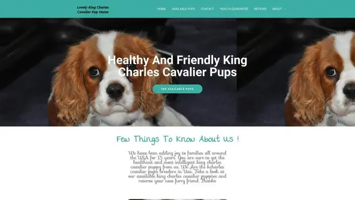 Screenshot of