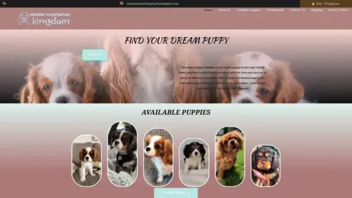 Screenshot of