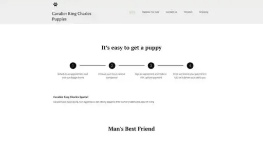 Screenshot of