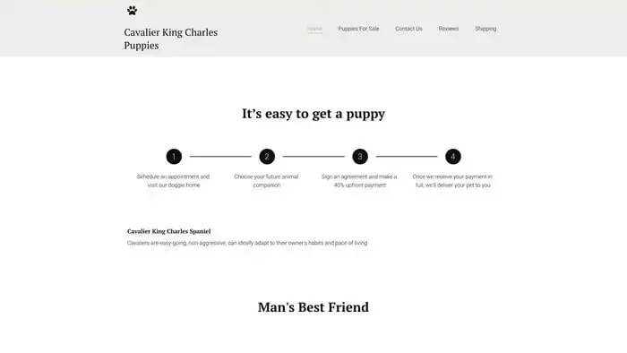 Screenshot of
