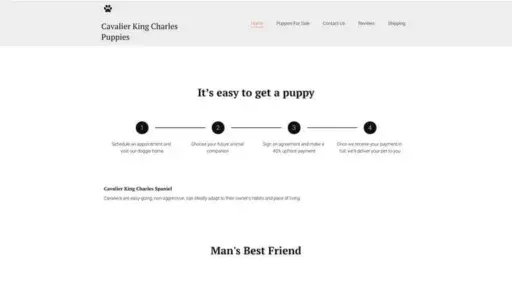 Screenshot of