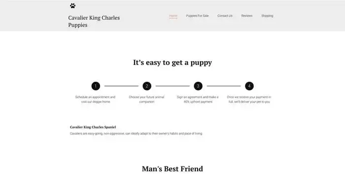 Screenshot of