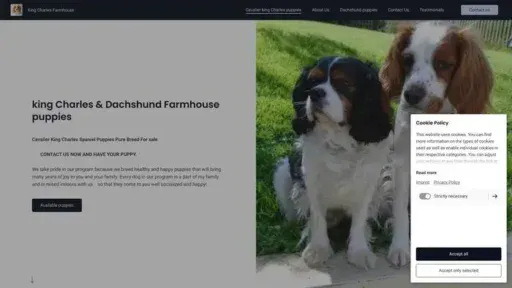 Screenshot of