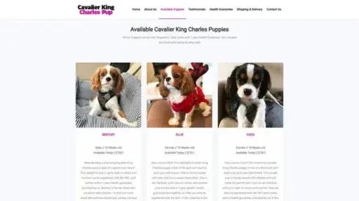 Screenshot of